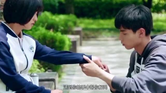 熊仔拼图